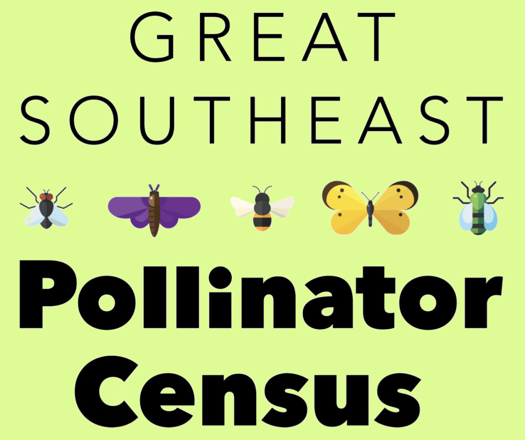 Pollinator Census